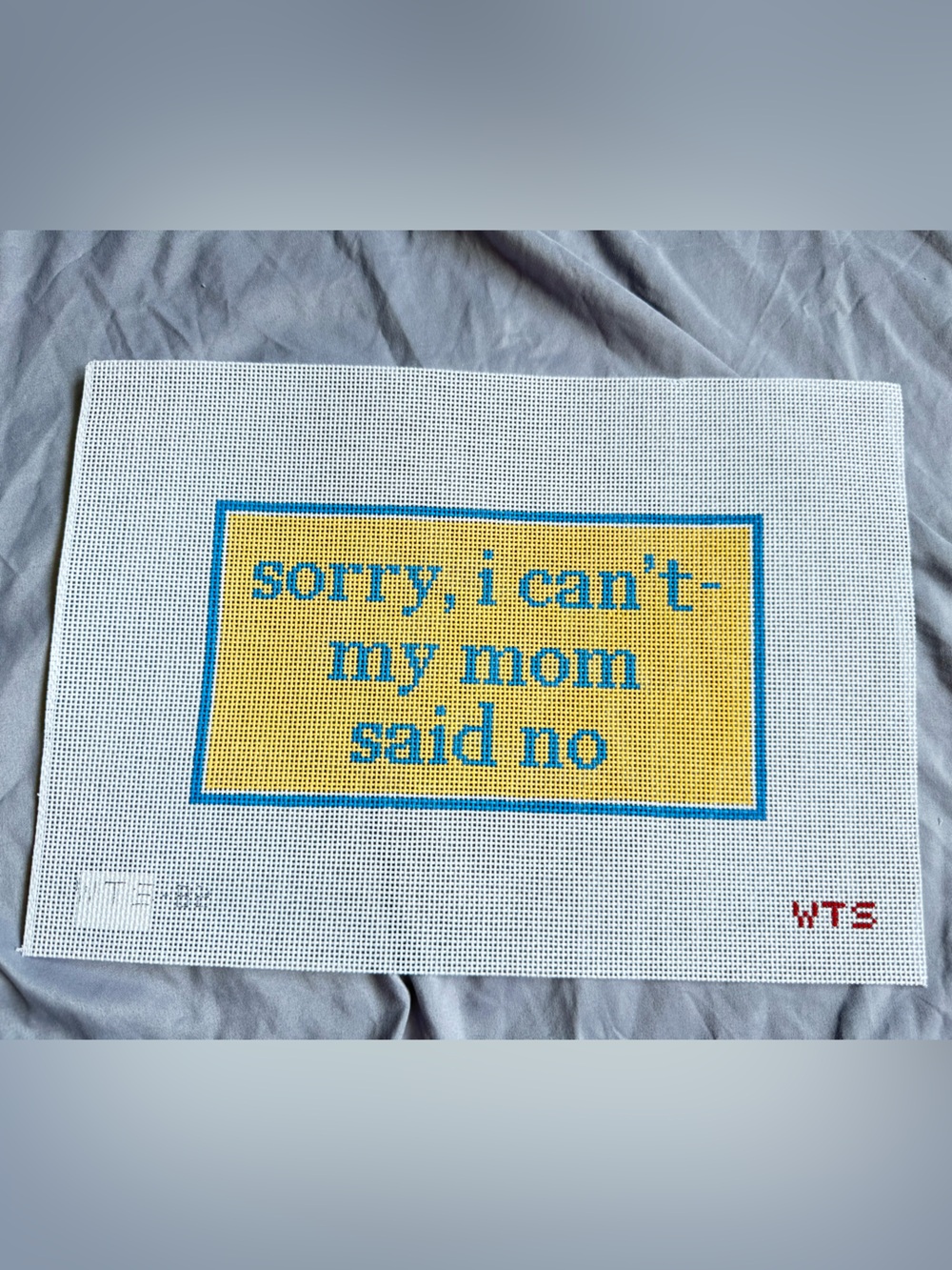 What's the Stitch "Sorry I Can't, My Mom Said No" Needlepoint Canvas Crafts